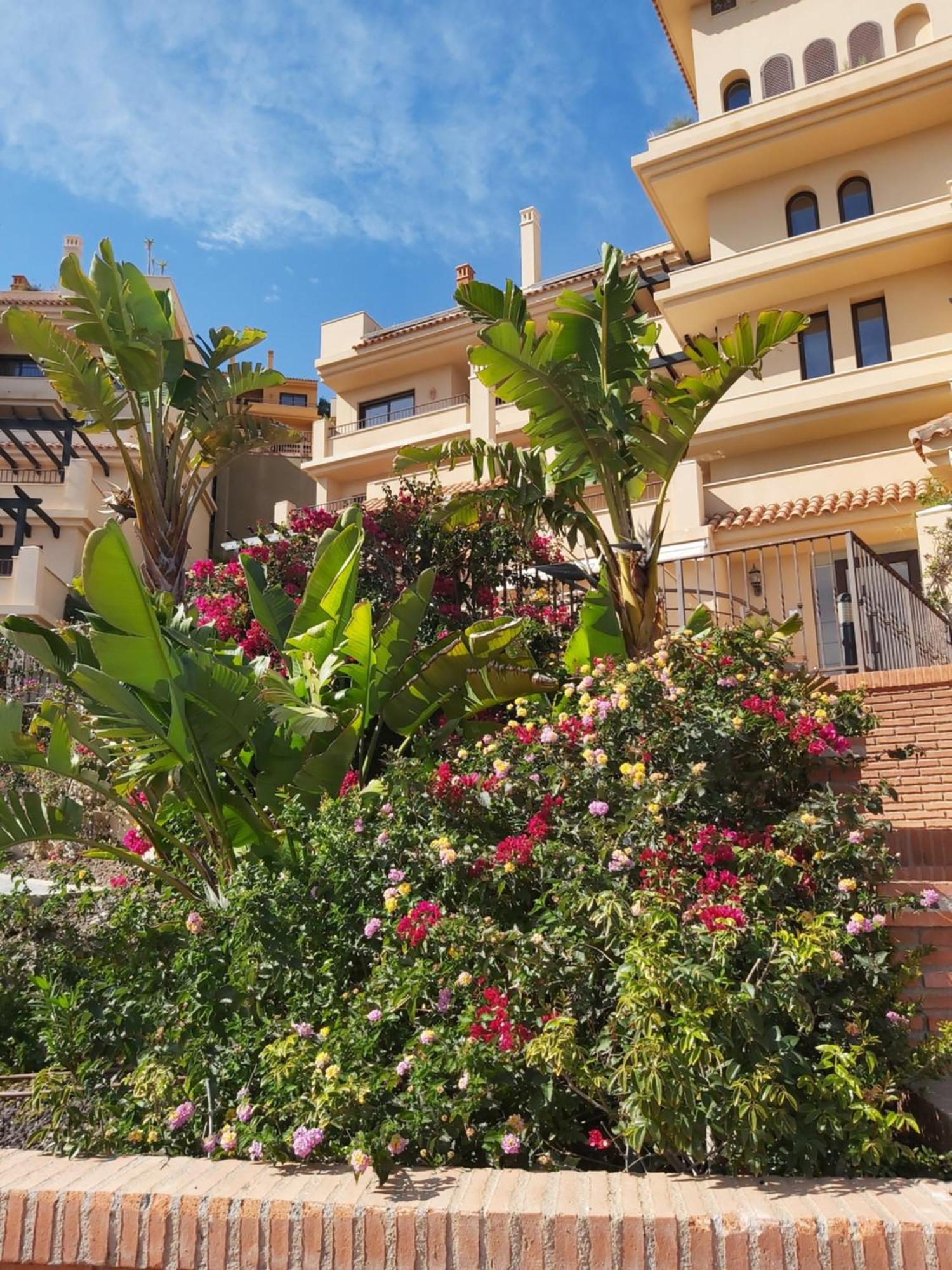 Casa Don Marco Daire Águilas Dış mekan fotoğraf