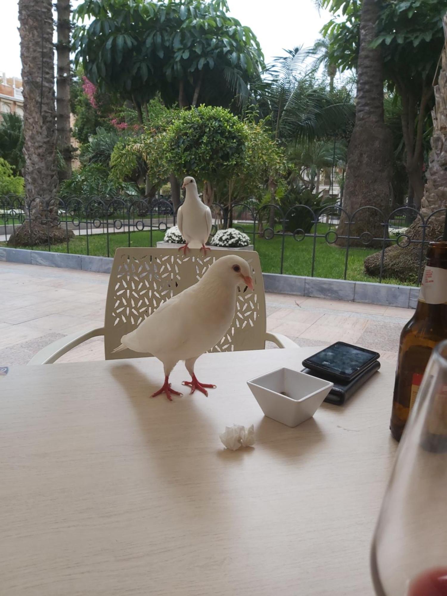 Casa Don Marco Daire Águilas Dış mekan fotoğraf